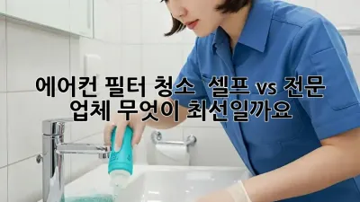 에어컨 필터 청소 : 셀프 vs 전문 업체, 무엇이 최선일까요?
